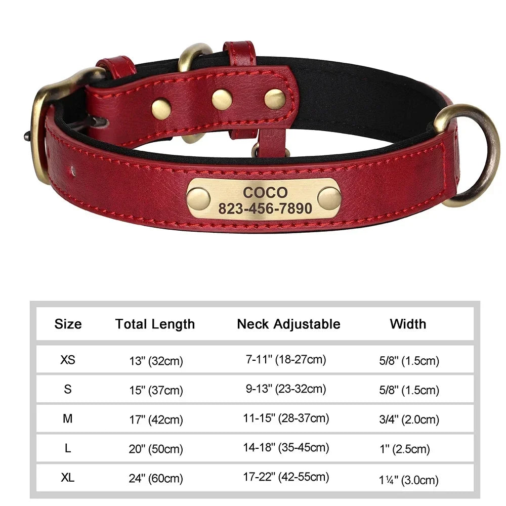 Custom Engraved Leather Dog Collar – Personalized Nameplate Collar for All Breeds