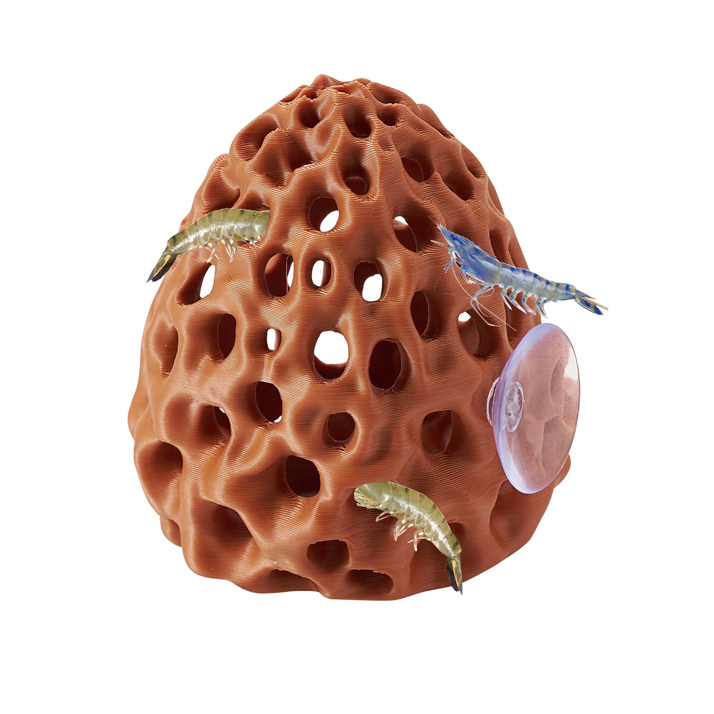 Aquarium Shrimp & Betta Fish Hideout – Suction Cup Hiding Shelter for Small Fish, Guppies & Shrimp