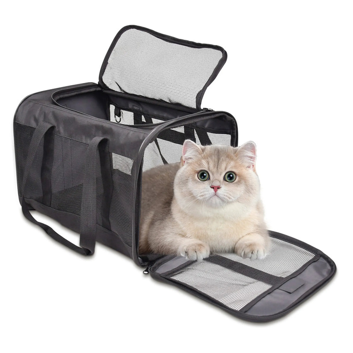 Airline-Approved Soft-Sided Pet Carrier Bag for Cats & Small Dogs