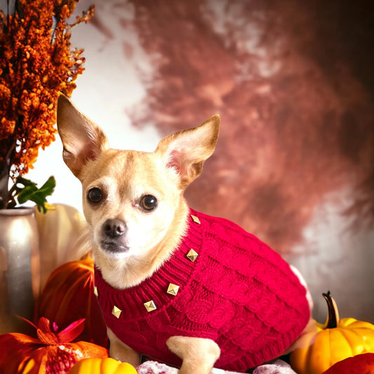 Knit Turtleneck Dog Sweater with Gold Studded Collar