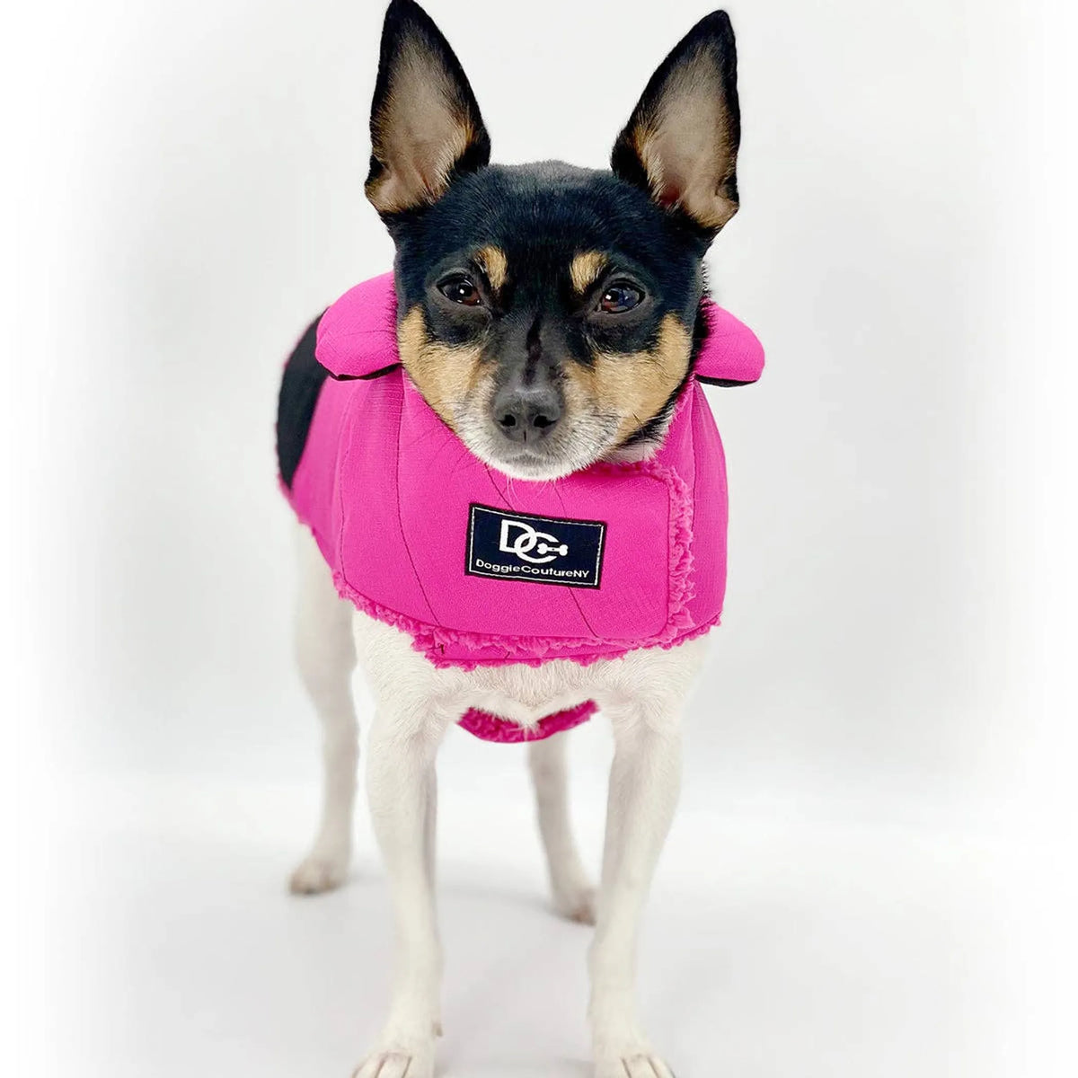 Water-Resistant Dog Coat – Fleece-Lined Warm Winter Jacket. DoggieCoutureNY