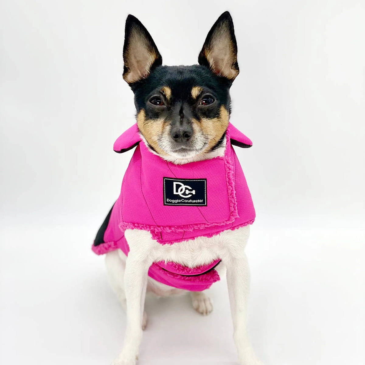 Water-Resistant Dog Coat – Fleece-Lined Warm Winter Jacket. DoggieCoutureNY