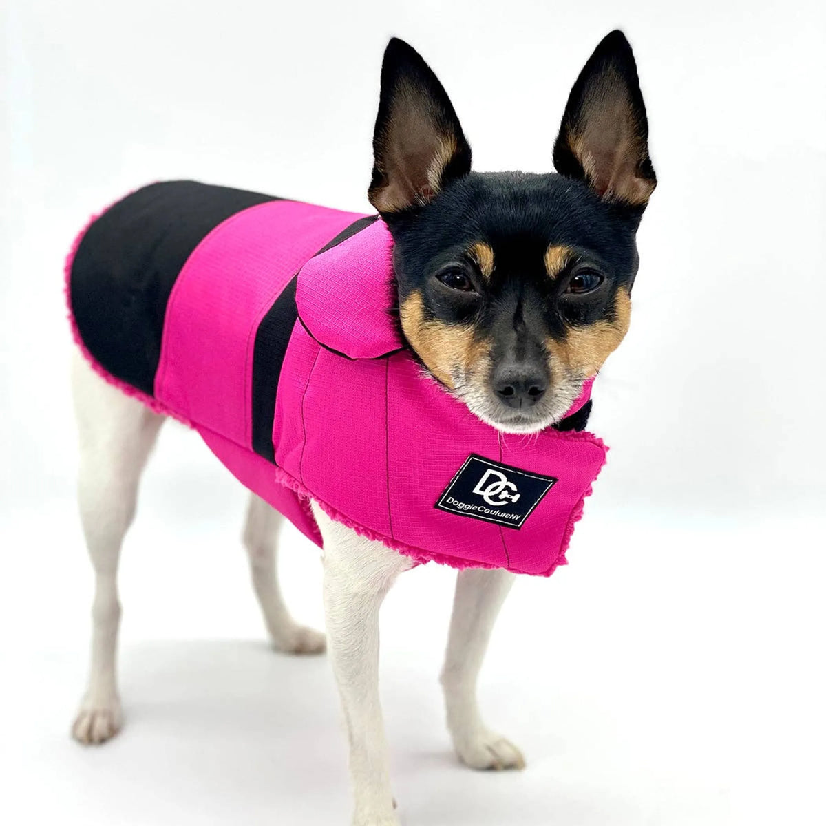 Water-Resistant Dog Coat – Fleece-Lined Warm Winter Jacket. DoggieCoutureNY