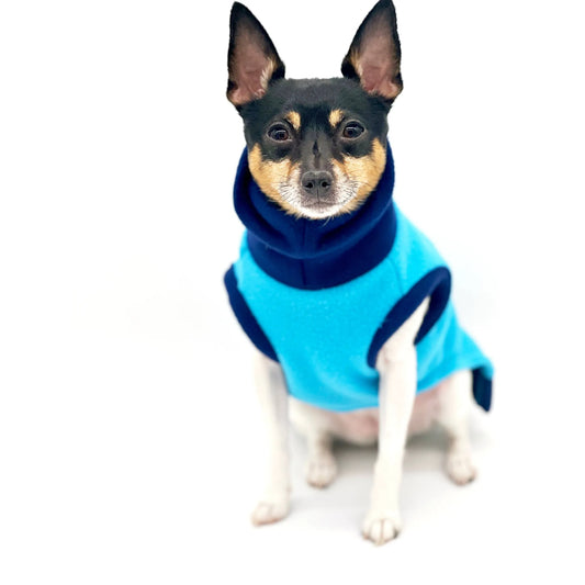Blue Two-Tone Dog Sweater – Warm Knit Winter Pet Sweater. DCNY