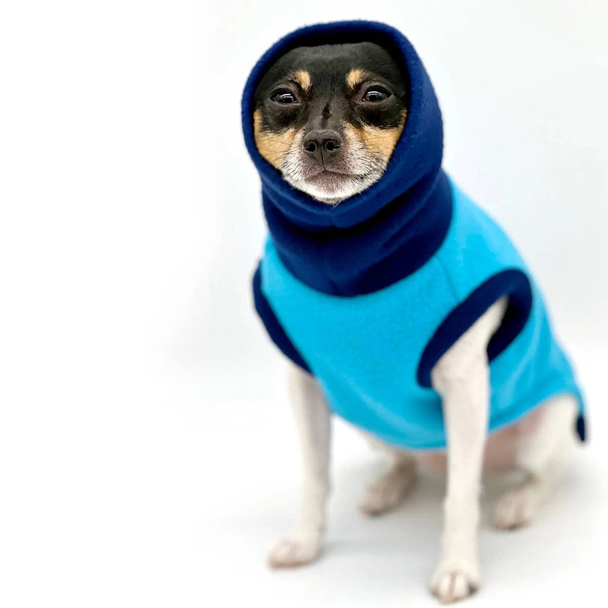 Blue Two-Tone Dog Sweater – Warm Knit Winter Pet Sweater. DCNY