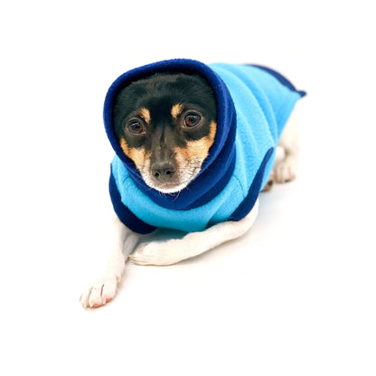 Blue Two-Tone Dog Sweater – Warm Knit Winter Pet Sweater. DCNY