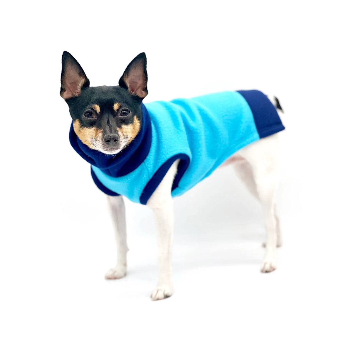 Blue Two-Tone Dog Sweater – Warm Knit Winter Pet Sweater. DCNY