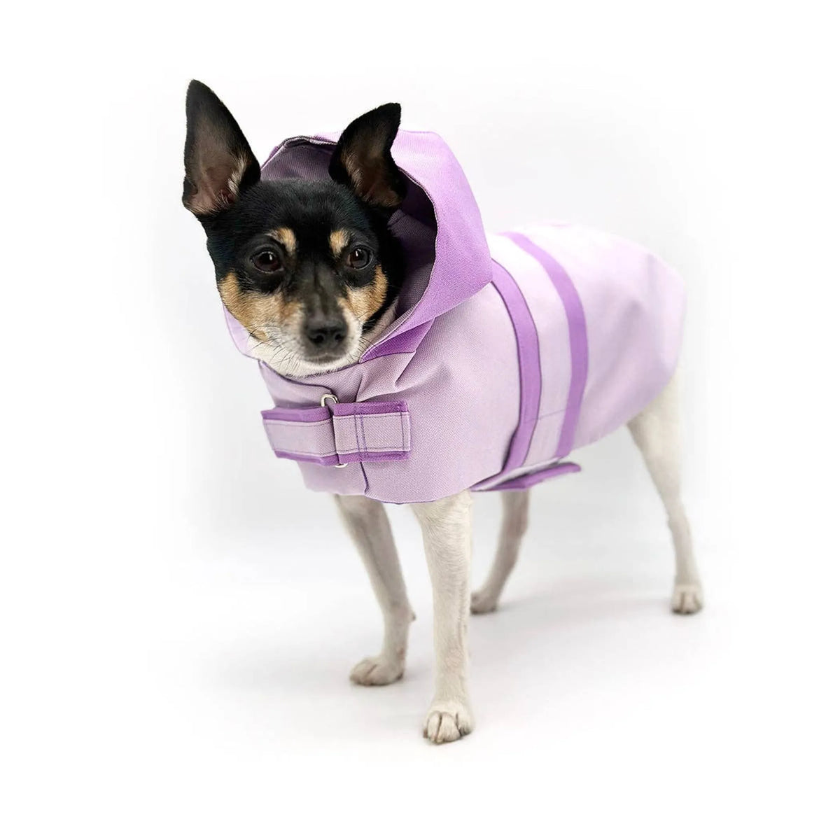 Waterproof Dog Raincoat – Hooded Cotton Canvas Jacket with Reflective Patch. DCNY