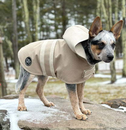 Waterproof Dog Raincoat – Hooded Cotton Canvas Jacket with Reflective Patch. DCNY