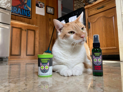Organic Catnip Spray for Cats – Cat Toy & Scratching Training Spray