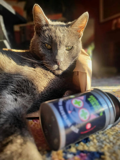 Silvervine & Catnip Cat Toy – Potent Catnip Blend for Cats