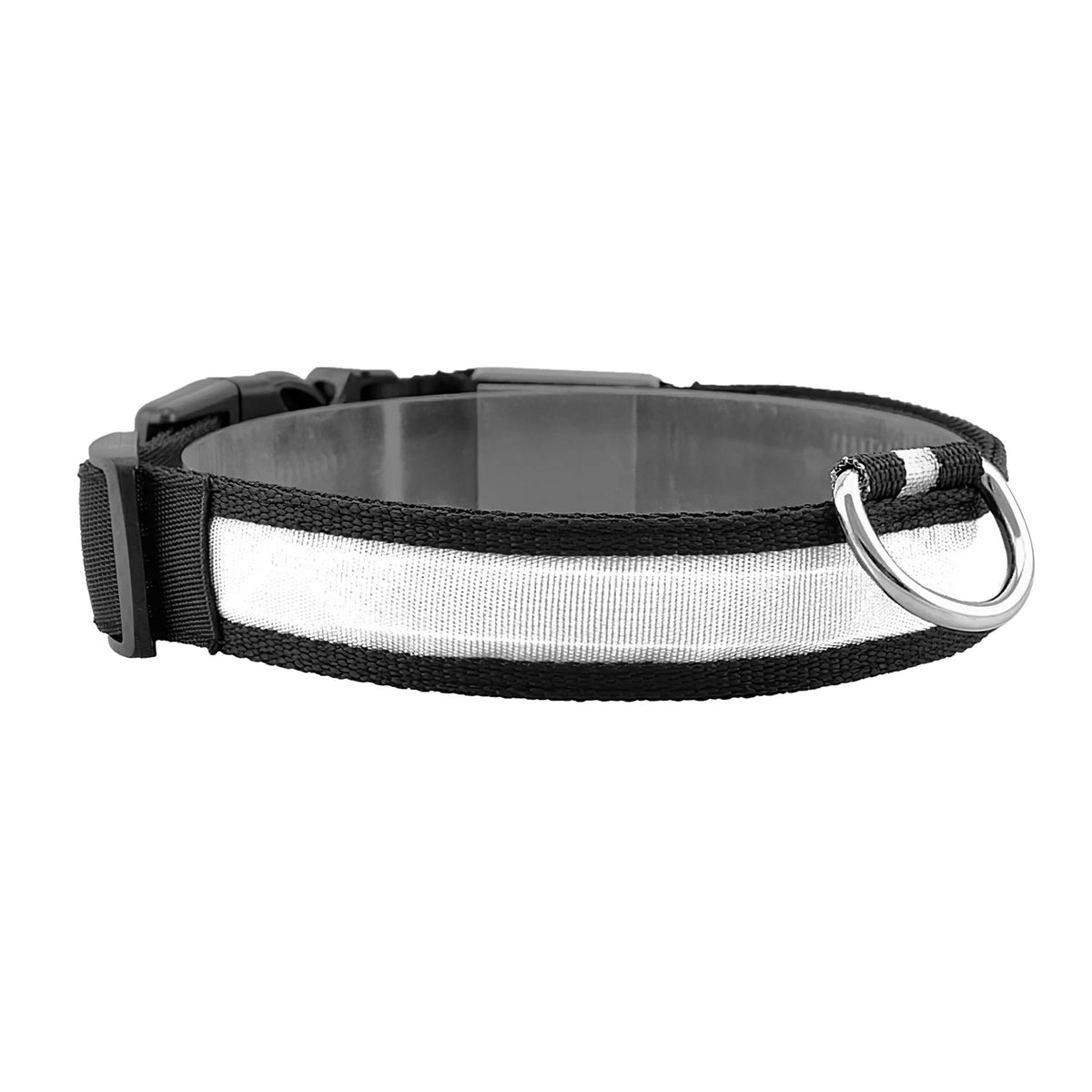 LED Dog Collar