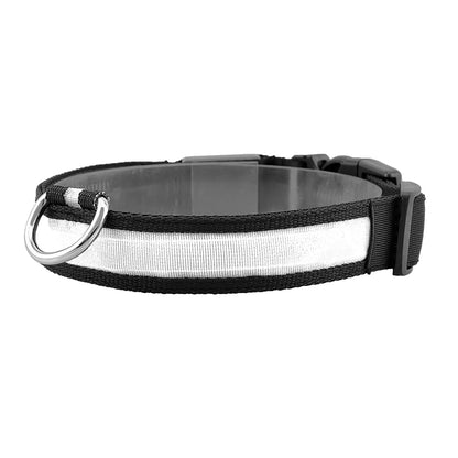 LED Dog Collar