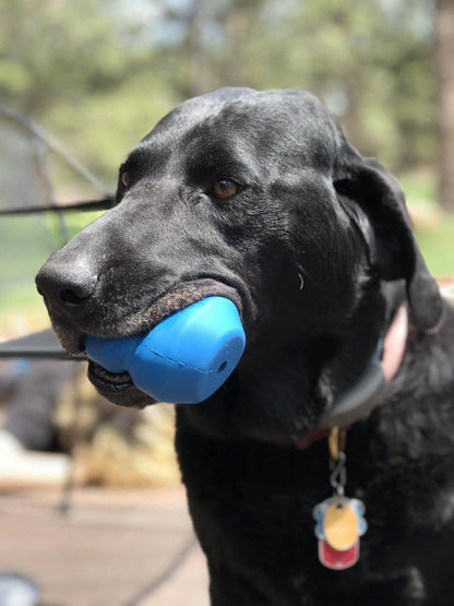 Double Trouble Dog Toy - Dual Chamber Treat Dispenser for Large Dogs