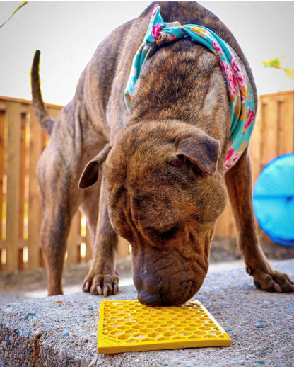Honeycomb Lick Mat for Dogs & Cats – Enrichment & Slow Feeder Mat