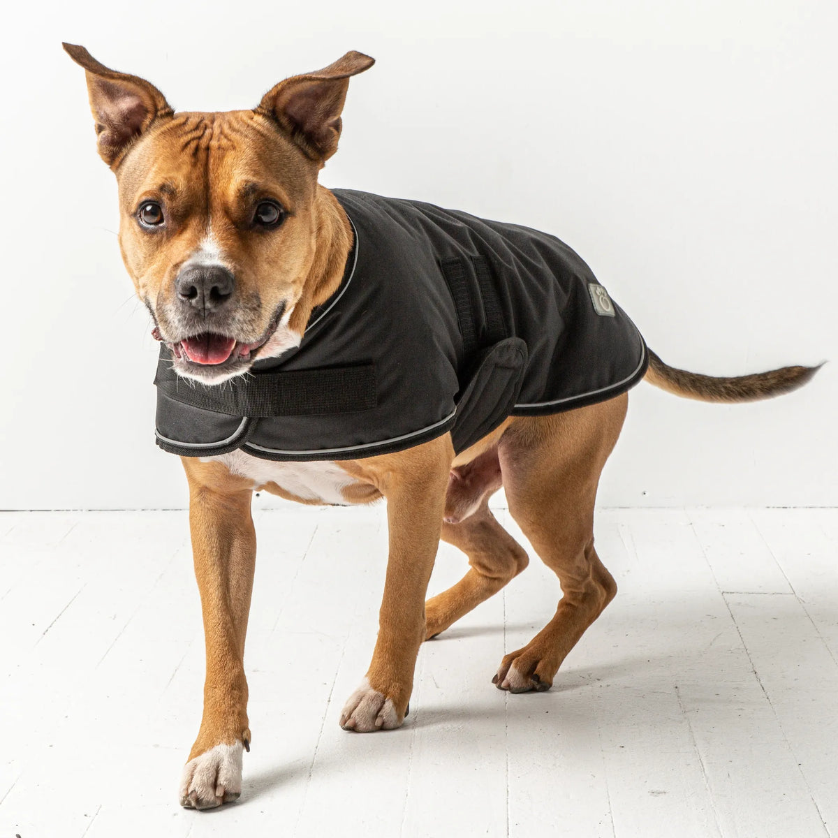 Waterproof Dog Jacket – Fleece-Lined Winter Coat with Reflective Trim