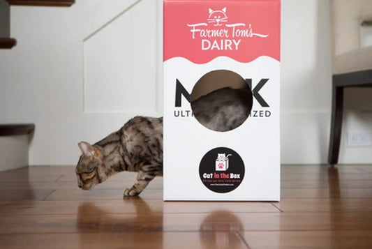 Mega Milk Carton Cat House – Large Cardboard Cat Hideaway & Playhouse