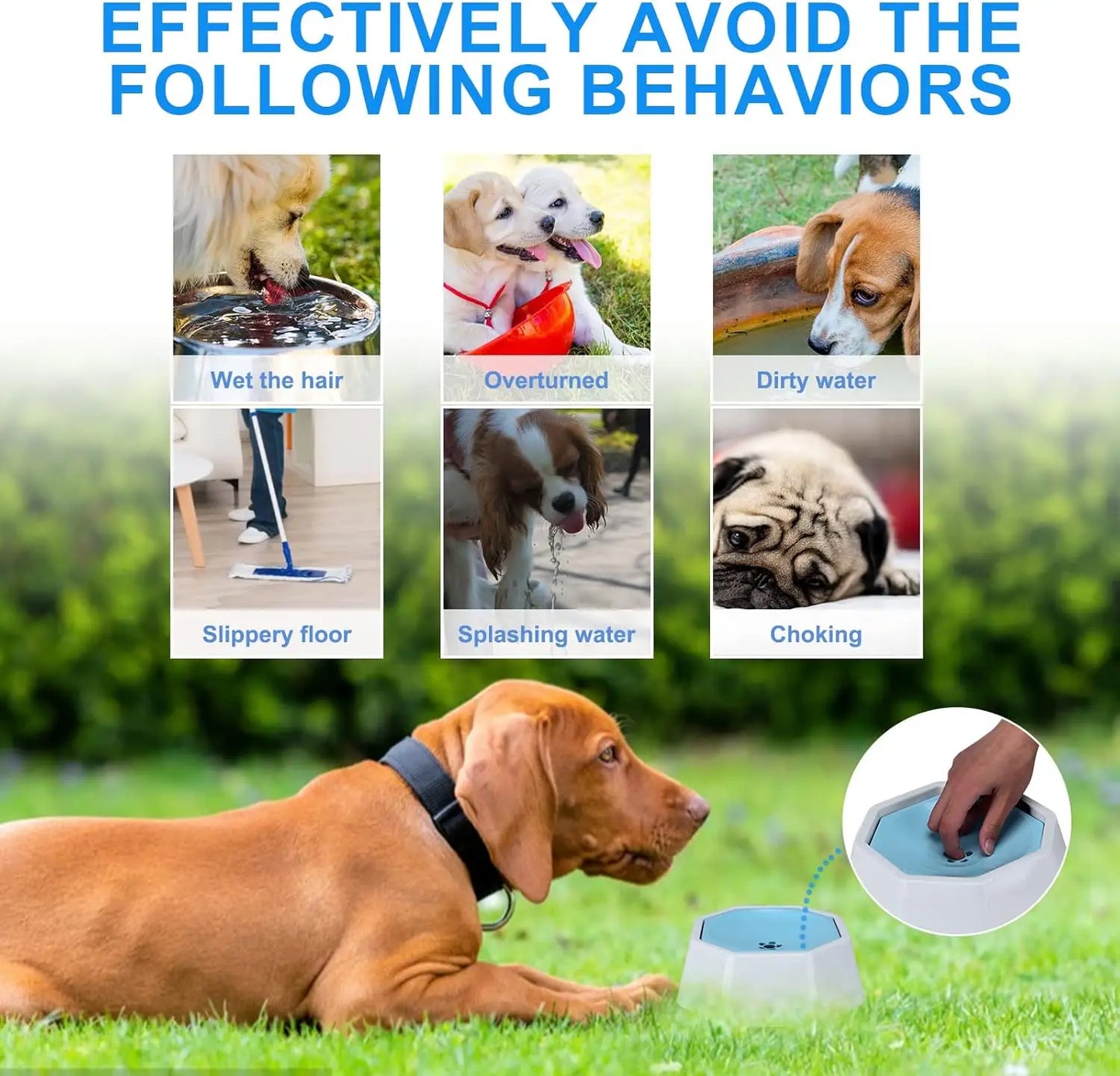 Splash-Free Pet Water Bowl – No-Spill Floating Water Feeder for Dogs & Cats, Ideal for Home & Car Travel
