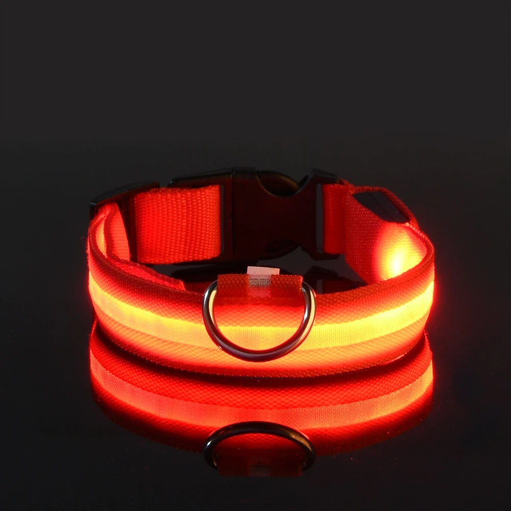 LED Dog Leash & Collar Set – Glow-in-the-Dark Flashing Nylon Safety Gear for Night Walking and Outdoor Adventures