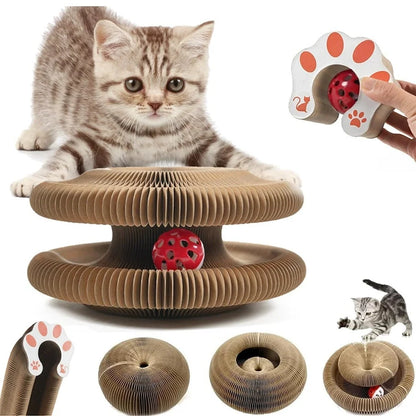 Organ-Shaped Cat Scratching Board – Wear-Resistant Corrugated Scratch Pad with Bell Toy for Indoor Cats