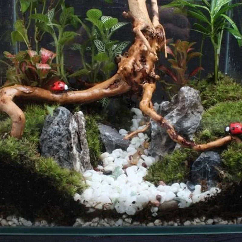 Natural Driftwood Aquarium Decoration – Tree Trunk Root Wood Ornament for Fish Tanks, Terrariums & Reptile Habitats