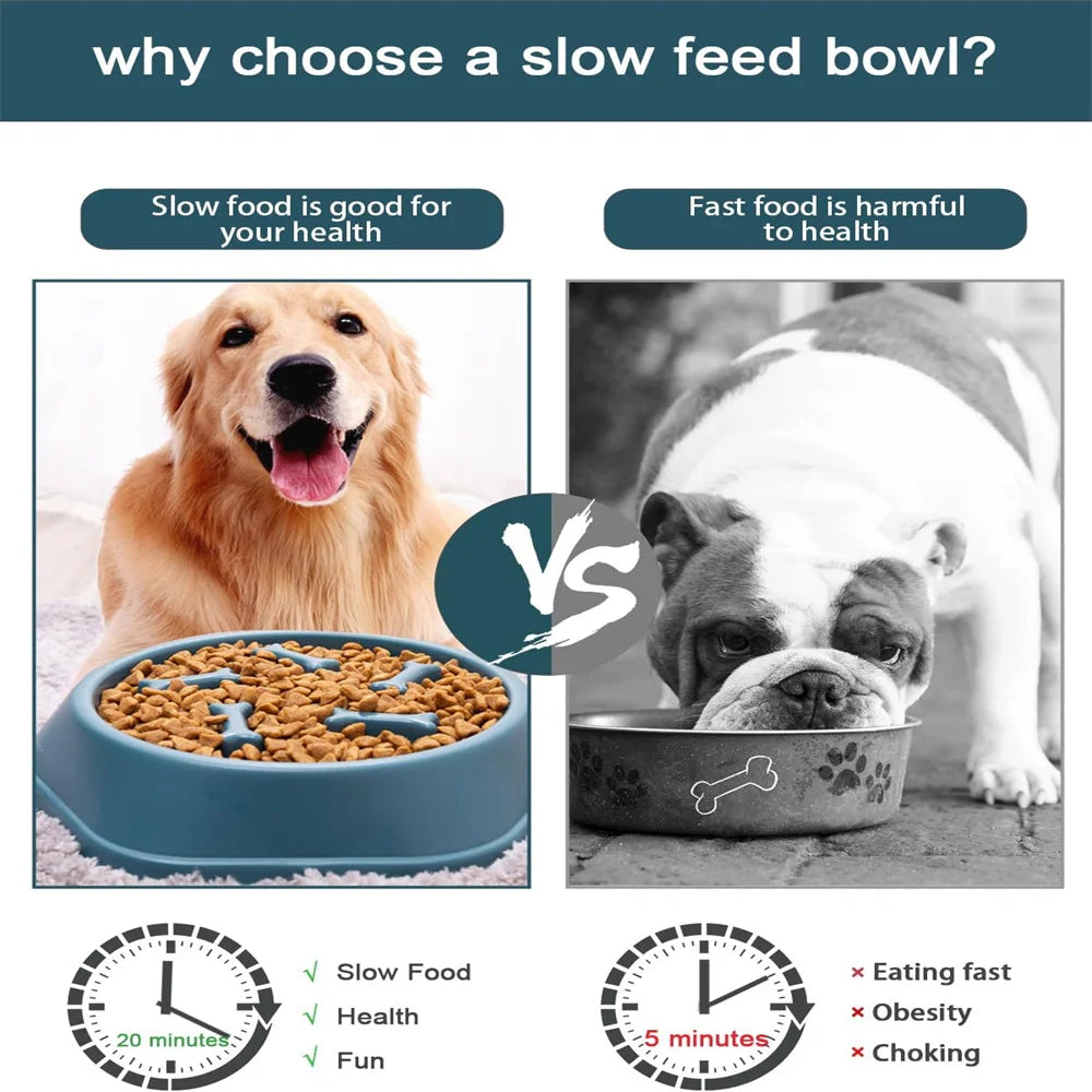 Slow Feeder Dog & Cat Bowl – Non-Slip Slow Eating Food Dish, Choke-Resistant PP Bowl for Small Dogs & Cats