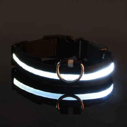 LED Dog Leash & Collar Set – Glow-in-the-Dark Flashing Nylon Safety Gear for Night Walking and Outdoor Adventures