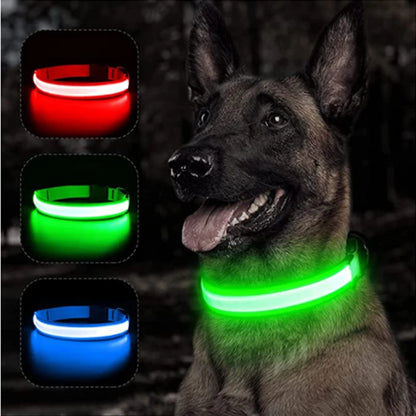 USB Rechargeable LED Glowing Dog Collar – Adjustable Light-Up Safety Collar for Small & Large Dogs and Cats