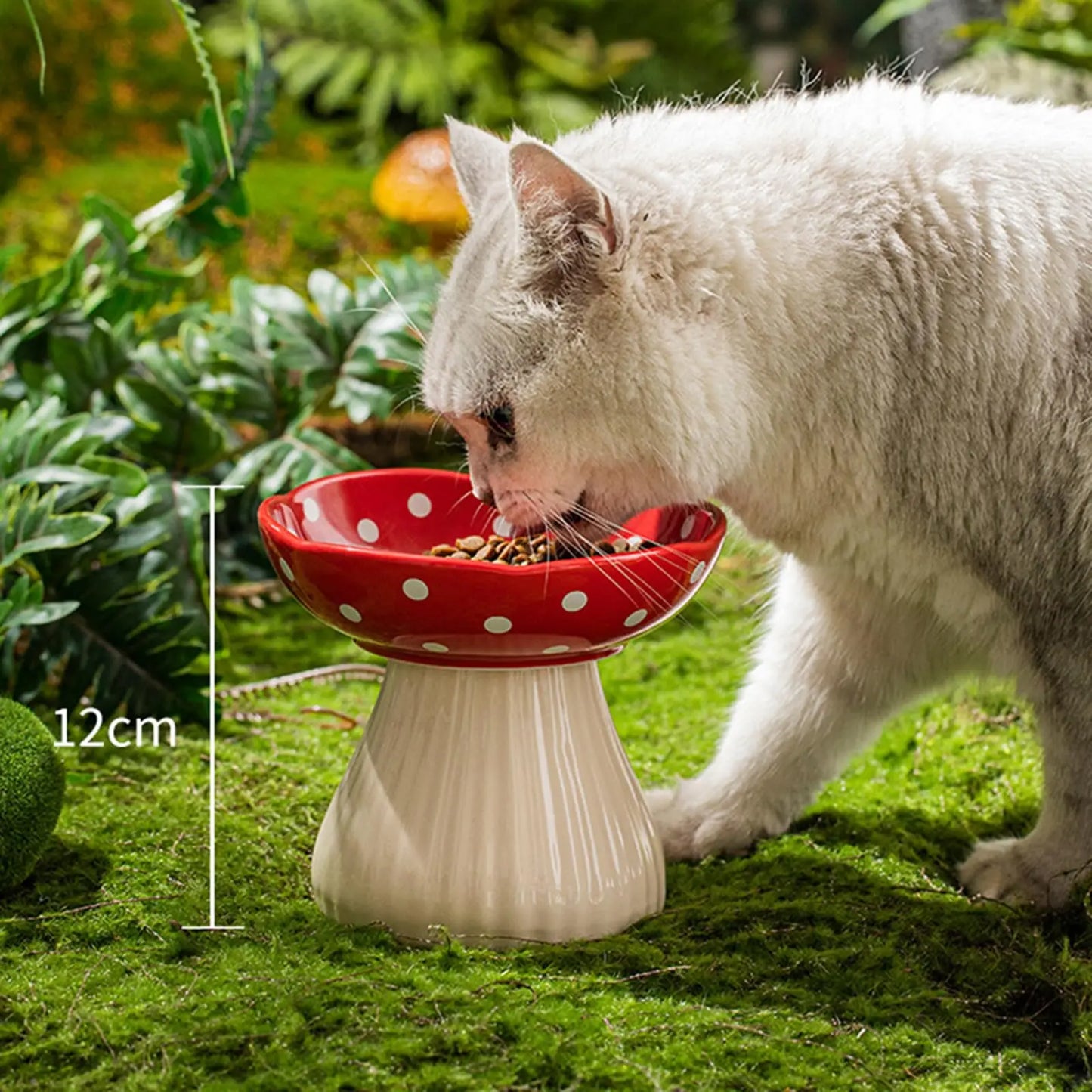 6-Inch Elevated Mushroom Cat Bowl – Ceramic Beard-Friendly Food & Water Dish with Ergonomic Raised Design