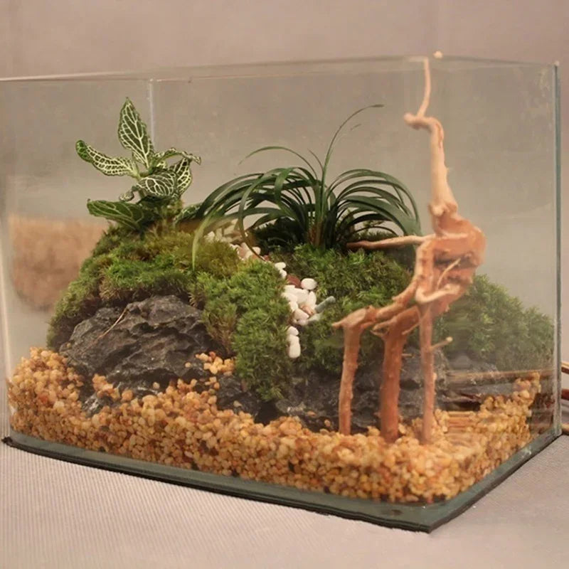 Natural Driftwood Aquarium Decoration – Tree Trunk Root Wood Ornament for Fish Tanks, Terrariums & Reptile Habitats