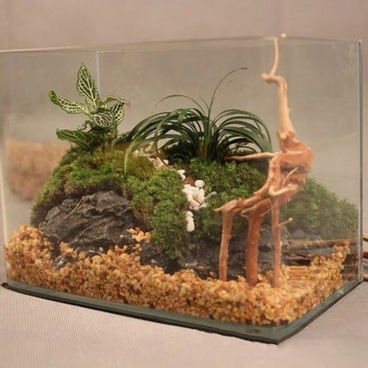 Natural Driftwood Aquarium Decoration – Tree Trunk Root Wood Ornament for Fish Tanks, Terrariums & Reptile Habitats