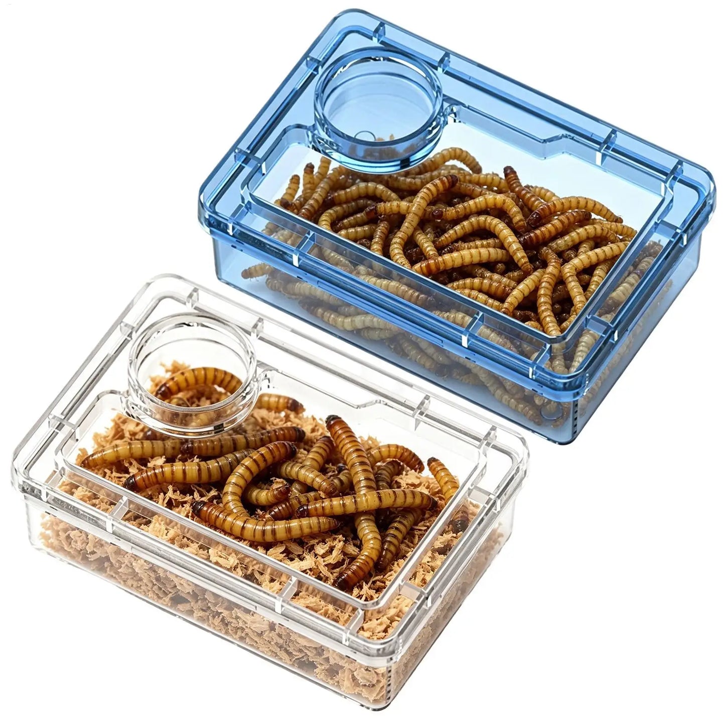 Escape-Proof Reptile Feeding Bowl – Food Dish for Geckos, Frogs, Spiders, Lizards & Other Exotic Pets