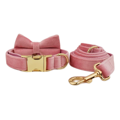 Custom Engraved Velvet Dog Collar and Leash Set – Personalized for Medium & Large Dogs