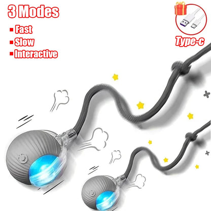 Automatic Rolling Cat Toy Ball – Rechargeable Smart Ball with Faux Tail Mouse Chase Toy for Cats & Small Dogs