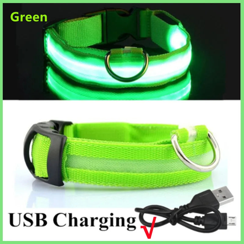 USB Rechargeable LED Glowing Dog Collar – Adjustable Light-Up Safety Collar for Small & Large Dogs and Cats