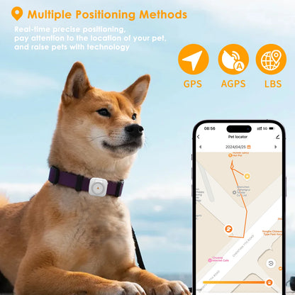 Real-Time GPS Pet Collar Tracker Health Monitoring & Step Counting for Dogs