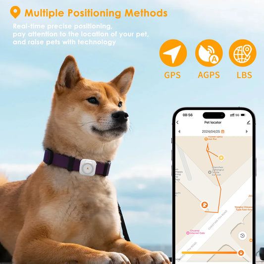 Real-Time GPS Pet Collar Tracker Health Monitoring & Step Counting for Dogs