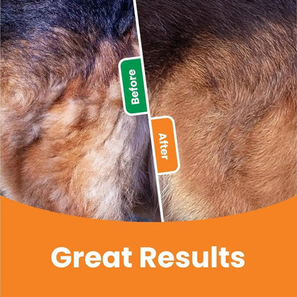 3-in-1 Pet De-shedding Brush – Dog & Cat Hair Remover, Detangling Comb and Fur Grooming Tool