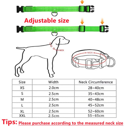 USB Rechargeable LED Glowing Dog Collar – Adjustable Light-Up Safety Collar for Small & Large Dogs and Cats