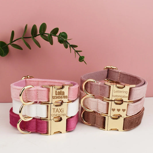 Custom Engraved Velvet Dog Collar and Leash Set – Personalized for Medium & Large Dogs