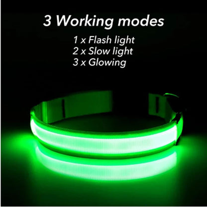 USB Rechargeable LED Glowing Dog Collar – Adjustable Light-Up Safety Collar for Small & Large Dogs and Cats
