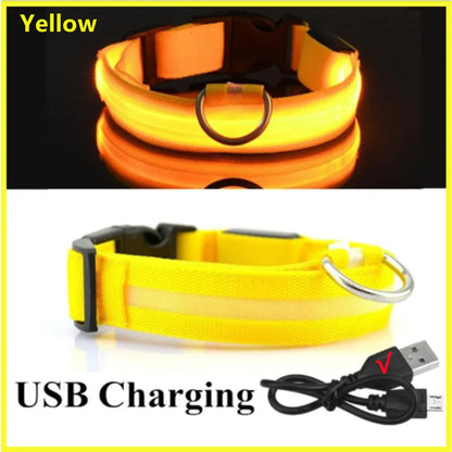 USB Rechargeable LED Glowing Dog Collar – Adjustable Light-Up Safety Collar for Small & Large Dogs and Cats