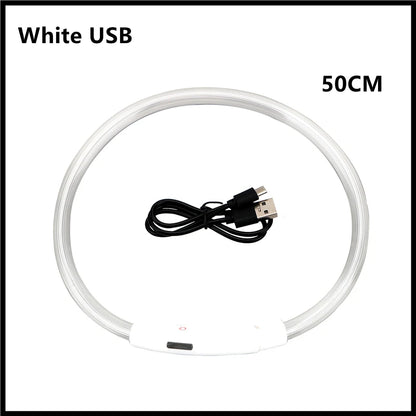 USB Rechargeable LED Glowing Dog Collar – Adjustable Light-Up Safety Collar for Small & Large Dogs and Cats