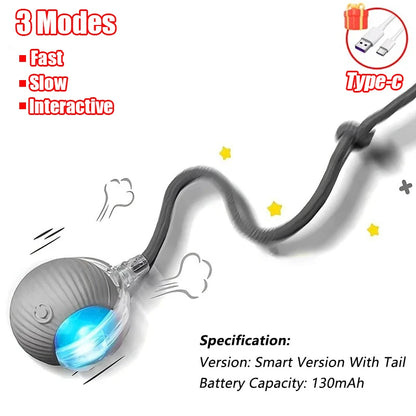 Automatic Rolling Cat Toy Ball – Rechargeable Smart Ball with Faux Tail Mouse Chase Toy for Cats & Small Dogs