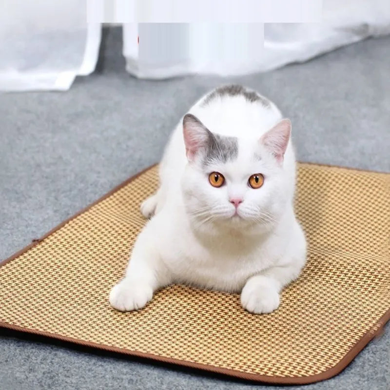 Dog Cooling Mat – Summer Cooling Pet Bed & Ice Pad for Small, Medium & Large Dogs and Cats