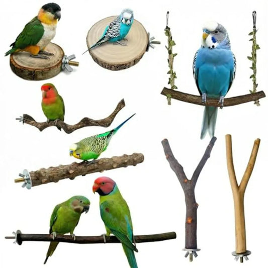 8-Piece Bird Perch & Play Gym Set – Climbing Ladder and Exercise Toys for Parrots & Parakeets