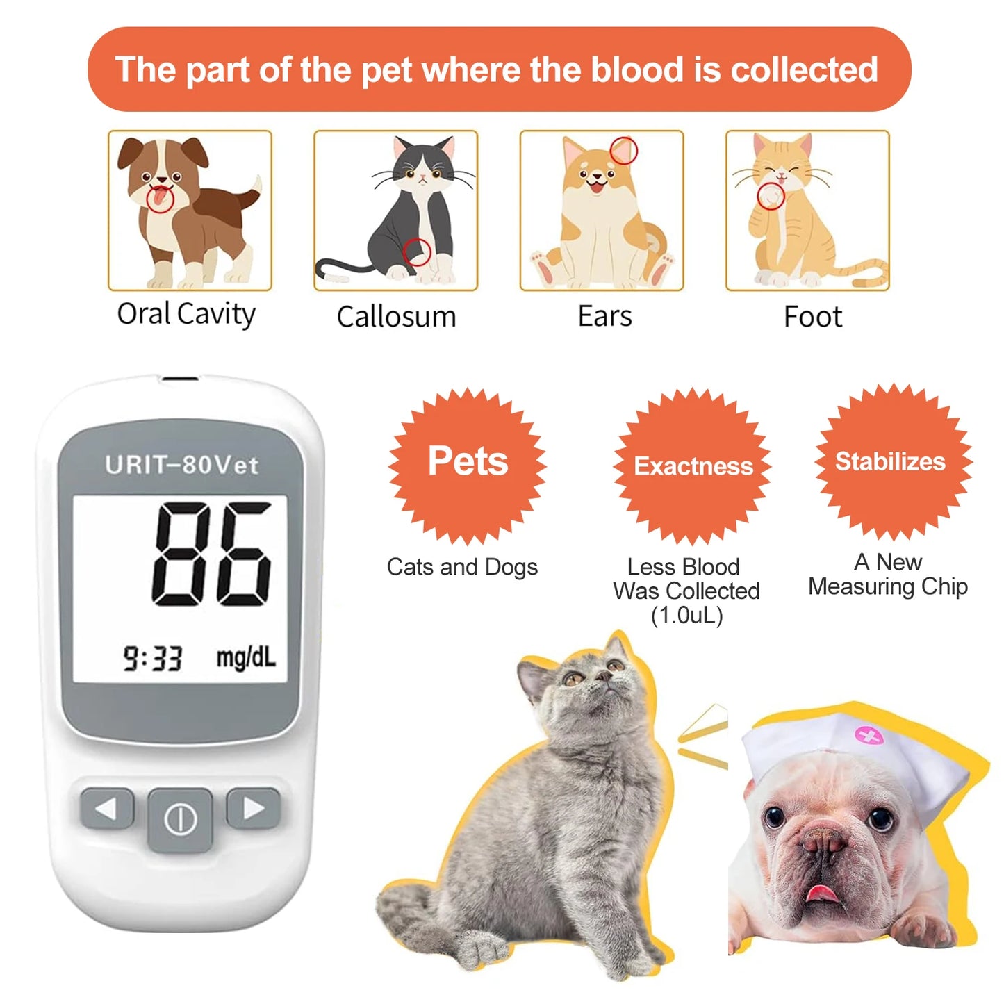 Pet Blood Glucose Monitoring Kit – All-in-One Digital Diabetes Testing System for Cats & Dogs, Home or Clinic Use