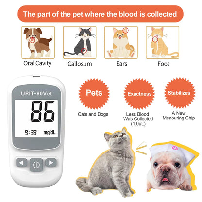 Pet Blood Glucose Monitoring Kit – All-in-One Digital Diabetes Testing System for Cats & Dogs, Home or Clinic Use