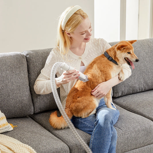 2.5L Professional Pet Grooming Vacuum Kit – 3 Suction Modes, 5 Grooming Tools & Cordless Low-Noise Clippers for Dogs & Cats