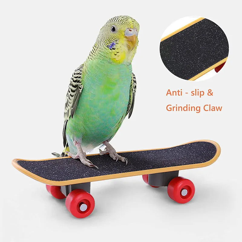 Parrot Toy Set – Interactive Bird Cage Toy Combination with Chewing, Climbing & Play Accessories for Parrots & Pet Birds
